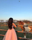 Simple A line Spaghetti Strap Pink Tulle Prom Dresses For Teens Formal Dress Party Outfits Prom Gowns HZ0311