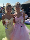 Ball Gown Sweetheart Sleeveless Lace Tulle Pink Long Formal Dresses Prom Dress HZ0311