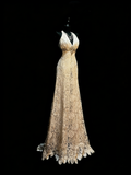 Modest A line V Neck Champagne Lace College Formal Outfit Long Prom Graduation Dresses For Teens HZ0311