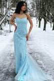 Elegant Sheath-Column Floor Length Tulle Backless Long Prom Dress Party Dresses Online HZ0311