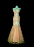 Vintage Mermaid V Neck Pink Tulle With Lace Appliques 2000s Senior Prom Dresses High School Long Formal Dress HZ0311
