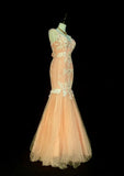 Vintage Mermaid V Neck Pink Tulle With Lace Appliques 2000s Senior Prom Dresses High School Long Formal Dress HZ0311
