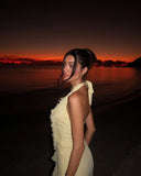 Ruffles Decoration Long Prom Dress Women Halter Low-Neck Backless Sleeveless Vacation Wedding Guest Gown HZ0311