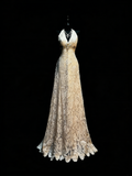 Modest A line V Neck Champagne Lace College Formal Outfit Long Prom Graduation Dresses For Teens HZ0311