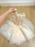 Chic Homecoming Dress Spaghetti Straps Tulle Short Prom Dress Back to School Outfits Birthday Party Dress HZ0427