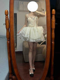 Chic Homecoming Dress Spaghetti Straps Tulle Short Prom Dress Back to School Outfits Birthday Party Dress HZ0427