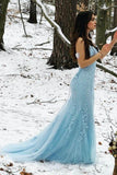 Elegant Sheath-Column Floor Length Tulle Backless Long Prom Dress Party Dresses Online HZ0311