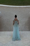 Fairy-tale A Line Exquisite Beaded Tulle Prom Dress Wedding Guest Dress Dinner Outfits Party Gowns HZ0311