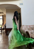 90s Prom Dress Ombre Green Spaghetti Straps Backless Gala Gown Evening Dress Party Outfits HZ0427