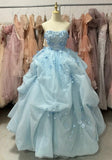 90s Ball Gown Light Blue Sweetheart Pleated Floral Quinceanera Dress Evening Dress Gala Prom Gown HZ0427