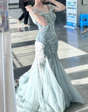 Elegant Prom Dress V-neck Pleated Tulle Mermaid Formal Gown Evening Dress Birthday Party Outfits HZ0427