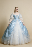 Gorgeous Ball Gown Light Blue Crew Neck Tulle Pleated Quinceanera Dress Evening Dress 18th Birthday Prom Gown HZ0427