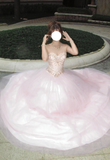 Sparkling Ball Gown Light Pink Sweetheart Tulle Evening Dress Quinceanera Dress 18th Birthday Prom Gown HZ0427