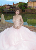 Sparkling Ball Gown Light Pink Sweetheart Tulle Evening Dress Quinceanera Dress 18th Birthday Prom Gown HZ0427