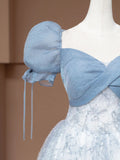 Fairytale Ball Gown Sweetheart With Puffy Sleeves Blue Tulle Long Formal Evening Dress Formal Birthday Gowns Prom Dresses HZ0311
