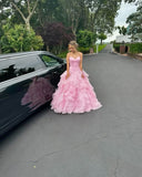 Ball Gown Sweetheart Sleeveless Tulle Pink Long Formal Dresses Prom Dress HZ0311