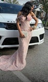 Sexy Mermaid Spaghetti Strap Pink With Beaded Bodice Long Prom Dress For Black Girls Evening Dresses HZ0311