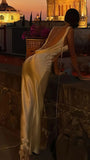Sexy Backless Satin Sheath Cowl Neck Prom Dress Long Evening Dress HZ0311