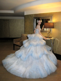 Princess Wedding Dresses Ball Gown Strapless Light Blue Tulle Pleated Brides Dress Style For Brides Fitted Long Bridal Gowns HZ0311