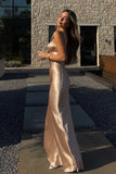 Elegant Champagne Gold Sweetheart Spaghetti Strap Backless Long Mermaid Prom Dress HZ0311