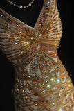 Vintage Prom Dresses 90s Formal Mermaid V Neck Tulle Gold With Beadings Long Party Gowns Prom Dresses HZ0311
