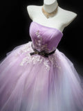 Cute Ball Gown Strapless Sleeveless Lilac With Applique Tulle Long Quinceanera Dresses Sweet 15 16 Birthday Outfits HZ0311
