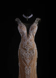 Vintage Mermaid Scoop Long Party Dress Tulle With Lace Inspo Champagne Floor Length Prom Dress HZ0311