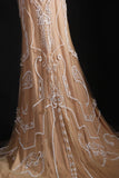 Vintage Mermaid Scoop Long Party Dress Tulle With Lace Inspo Champagne Floor Length Prom Dress HZ0311