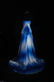 Vintage A Line Women's Cocktail Party Gowns Sweetheart Ombre Blue With Beads Tops Long Graduation Dinner Outfits Prom Dresses HZ0311