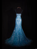 Classy Prom Dresses 1950s Mermaid Spaghetti Straps Blue Tulle Beaded Long Parties Gowns Evening Dress HZ0311