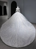 Vintage Long Wedding Gowns Princess Ball Gown Off The Shoulder Style for Bride With Sleeves Pleated Appliques Train White Bridal Dress HZ0311