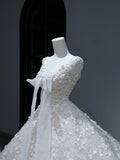 Princess Long Wedding Gowns Ball Gown V Neckline Style for Bride With Lace Appliques Train White Bridal Dresses HZ0311