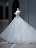 Princess Long Wedding Gowns Ball Gown V Neckline Style for Bride With Lace Appliques Train White Bridal Dresses HZ0311