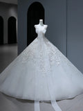 Princess Long Wedding Gowns Ball Gown V Neckline Style for Bride With Lace Appliques Train White Bridal Dresses HZ0311