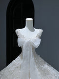 Princess Long Wedding Gowns Ball Gown V Neckline Style for Bride With Lace Appliques Train White Bridal Dresses HZ0311