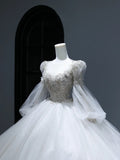 Princess Long Wedding Gowns Ball Gown Scoop Style for Bride With Lace Appliques Long Sleeves Train White Bridal Dresses HZ0311