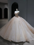Princess Long Wedding Dress Ball Gown Strapless Blush Pink Style for Bride With Beaded Sequin Bodice Train Bridal Dresses HZ0311