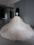 Princess Long Wedding Dress Ball Gown Strapless Blush Pink Style for Bride With Beaded Sequin Bodice Train Bridal Dresses HZ0311