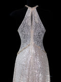 Chic A line Halter Champagne Sequin Long Prom Formal Fancy Evening Dresses Dinner Outfits Classy Party Gowns HZ0311
