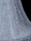 Elegant A Line Strapless Tulle With Tulle Cape Formal Fancy Long Evening Dresses Dinner Outfits Classy Party Gowns HZ0311