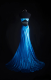 Vintage Mermaid Sweetheat Royal Blue Backless 90s Satin Inspiration Long Prom Dresses Evening Party Dress Prom Gowns HZ0311