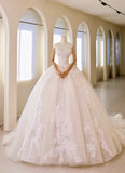 Luxury Women's Ball Gown Off The Shoulder With Appliqued Long Sleeves White Tulle Sweep Train Wedding Dresses HZ0311