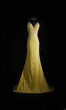 Retro Prom Dresses Mermaid Spaghetti Strap Yellow Backless Chiffon Vintage Fashion Long Prom Dresses Party Gowns HZ0311