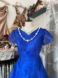 Vintage Prom Dresses 1950s Retro Classy A line V Neck Royal Blue Long Party Dress Inspiration Evening Dresses HZ0311