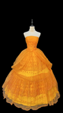 Vintage Prom Dresses 2000s Ball Gown Strapless Tulle Orange Prom Dress Inspiration Long Prom Dresses HZ0311