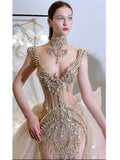 Sexy Mermaid V Neck Champagne Tulle With Beads Gem Long Summer Bride Dress Long Bride Dress Classy Wedding Dresses HZ0311