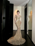 Shiny Mermaid Gold Sequin With Corset Fitted Back Prom Dress Aesthetic Long Graduation Evening Outfits HZ0311