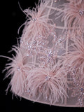 Chic Ball Gown Strapless Short Pink Lace With Feather Appliques Inspo Formal Party Gowns Prom Dresses HZ0311