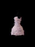 Chic Ball Gown Strapless Short Pink Lace With Feather Appliques Inspo Formal Party Gowns Prom Dresses HZ0311