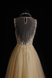 Vintage Prom Dresses Aesthetic A line Scoop Neck Champagne Tulle With Beaded Bodice Inspo Formal Party Gown HZ0311